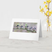 STAARTMEES KAART (Gele Bloem)