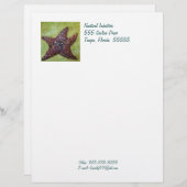 Staartspuitkop Custom Briefhoofd (Voorkant / Achterkant)