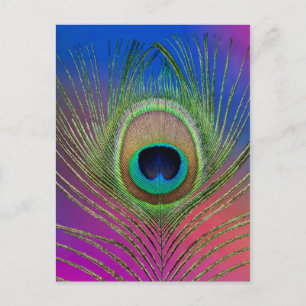 Staartveer van een pauw briefkaart
