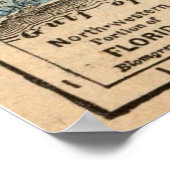  staat Florida Map 20x28 Poster (Hoek)