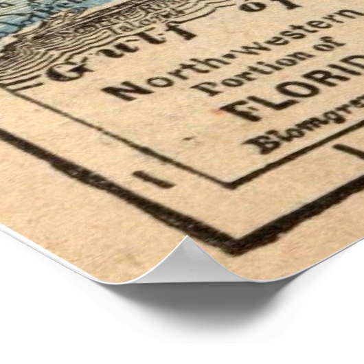  staat Florida Map Poster (Hoek)