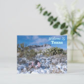 staat Texas Briefkaart (Staand voorkant)