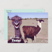 staat Texas Briefkaart (Voorkant / Achterkant)