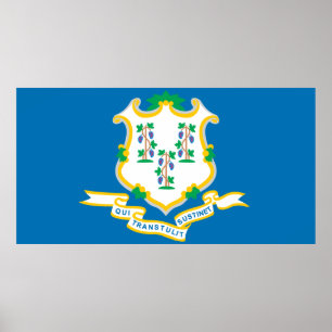 Staat van de vlag van Connecticut Poster