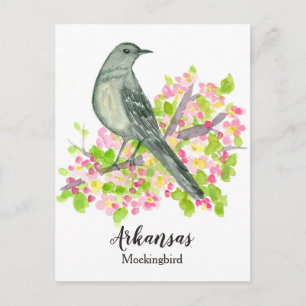 Staat Vogel van Arkansas Spotvogel Apple Blossom Briefkaart