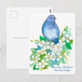 Staat vogel van Idaho Mountain Bluebird Briefkaart (Voorkant / Achterkant)