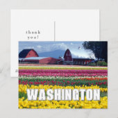 Staat Washington | Tulpenveld | Dank U Briefkaart (Voorkant / Achterkant)