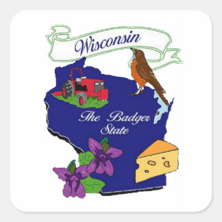 Staat Wisconsin Vierkante Sticker