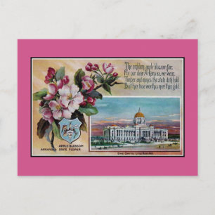 staatsbloem Arkansas, gedicht Briefkaart