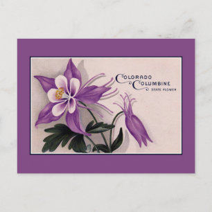 staatsbloem van Colorado, Columbine Briefkaart