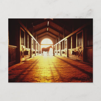 Stabiele handen briefkaart