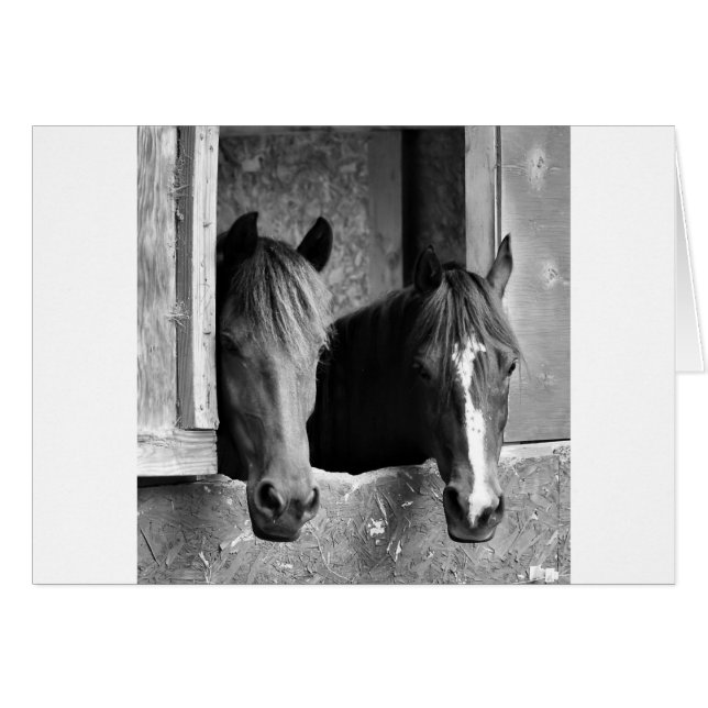 Stabiele paren (Voorkant Horizontaal)