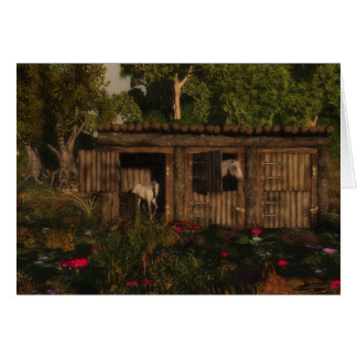 Stable