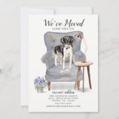 Stabyhoun | Faire-part de déplacement (Devant)