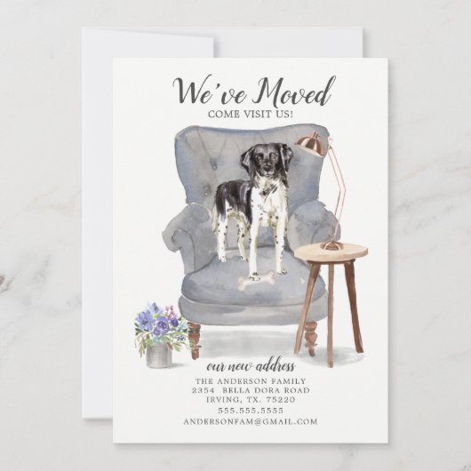 Stabyhoun | Faire-part de déplacement (Devant)