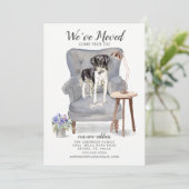 Stabyhoun | Faire-part de déplacement (Debout devant)