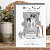 Stabyhoun | Faire-part de déplacement