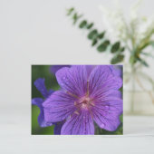 Stacey's Floral Design Briefkaart (Staand voorkant)