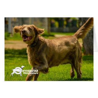 Stackhouse voor glimlachen