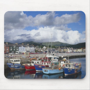 Stad en haven, Dingle, County Kerry, Muismat