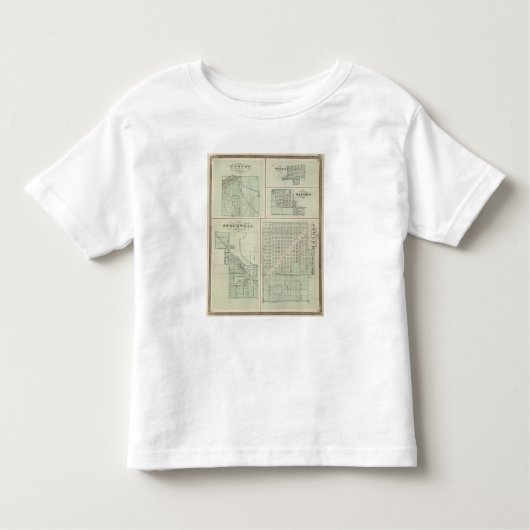 Stad Fowler, Benton Co. Kinder Shirts (Voorkant)