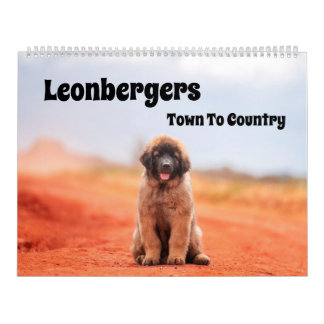 Stad naar land Leonbergers Kalender