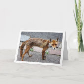 Stad Vos op Weg Kaart (Voorkant)