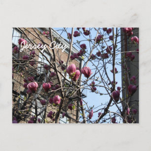 Stadbloemen Jersey Briefkaart