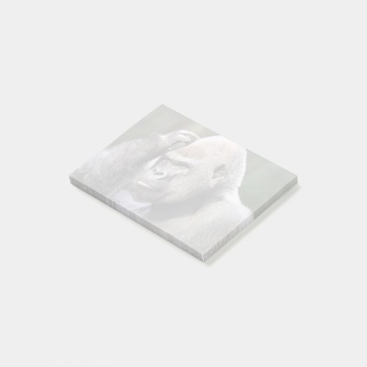 Stadi at Zoo Atlanta Post-it Notes (Incliné)