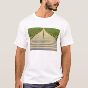 Stadiumtrap tussen rijen groene stoelen t-shirt