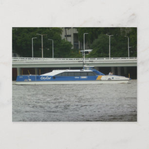 Stadskat Brisbane Briefkaart
