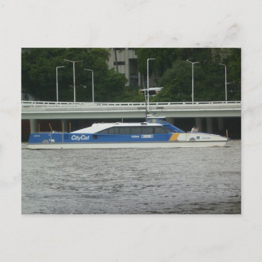 Stadskat Brisbane Briefkaart (Voorkant)