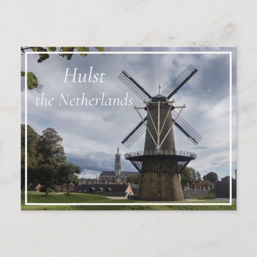 Stadsmolen, Hulst, Nederland Briefkaart (Voorkant)