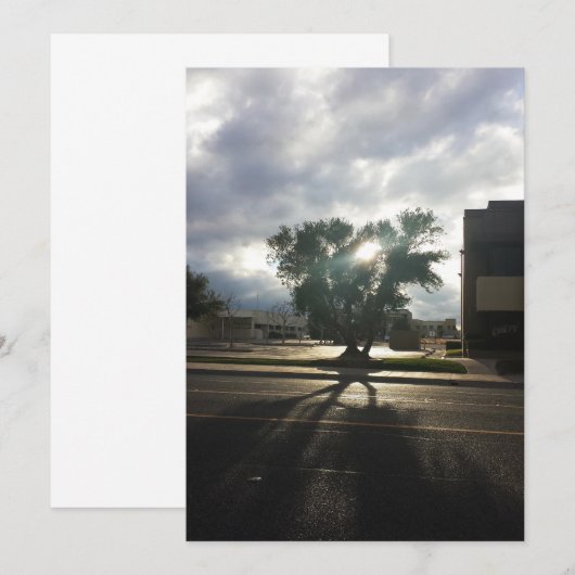 Stadsstructuur Aankondiging (Voorkant / Achterkant)