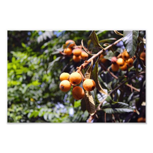 Stadsterras Foto Afdruk (Voorkant)