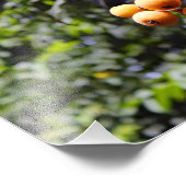 Stadsterras Foto Afdruk (Hoek)