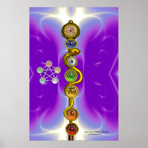 STAF VAN ASCLEPIUS 7 CHAKRA'S, YOGA, SPIRITUELE EN POSTER