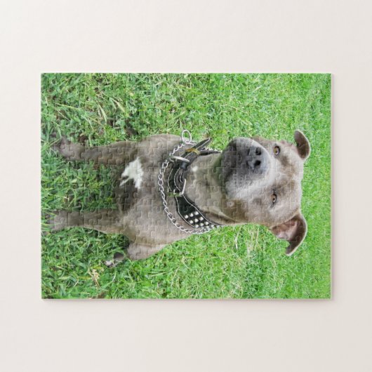 Staffé À L'Attention, Jigsaw Puzzle (Horizontal)