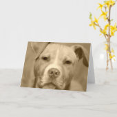 Staffie doux font face à la carte de voeux (Fleur jaune)