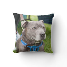 Staffie Throw Cushion