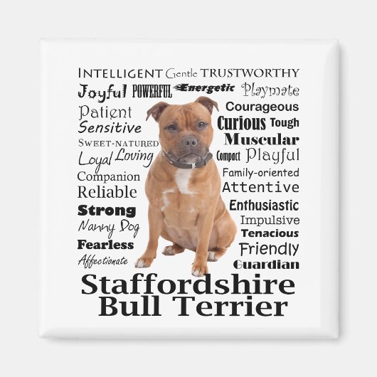 Staffie Traits Magnet Magneet (Voorkant)