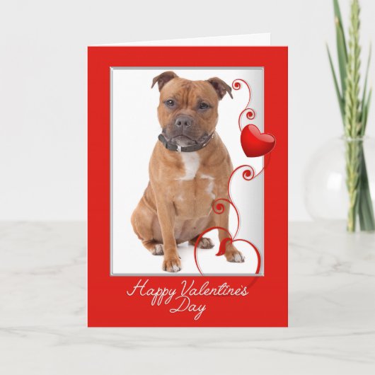 Staffie Valentijnsdagkaart Kaart (Voorkant)