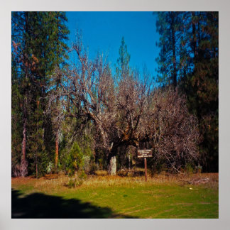 Stafford Crossing... Poster