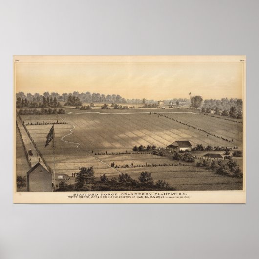Stafford Forge Cranberry Plantation, West Creek Poster (Voorkant)