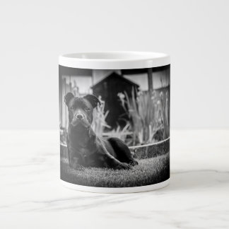 Staffordshire bull shister grote koffiekop