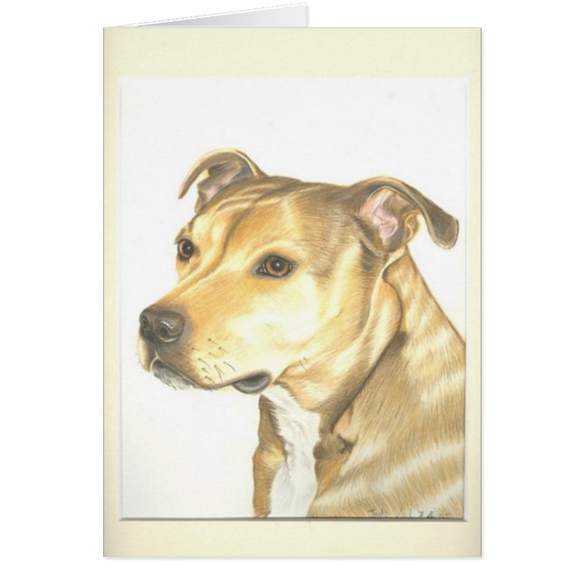 Staffordshire Bull Terrier (Voorkant)