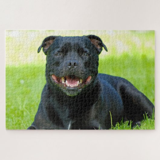 Staffordshire Bull Terrier Chien. Jigsaw Puzzle (Horizontal)