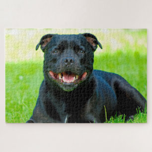 Staffordshire Bull Terrier Dog. Jigzaag Puzzle Legpuzzel