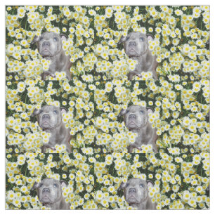 Staffordshire Bull Terrier en Daisies Stof
