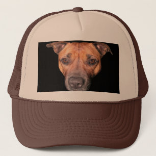 Staffordshire Bull Terrier Face Trucker Pet